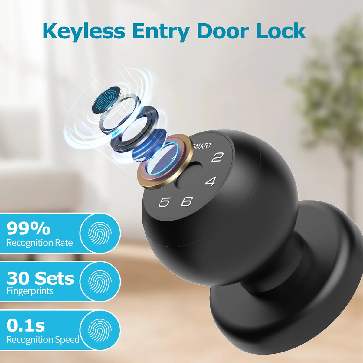 Viladepot Indoor Biometric Door Lock With Fingerprint And Bluetooth